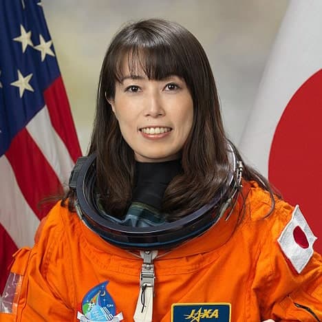 山崎 直子の画像